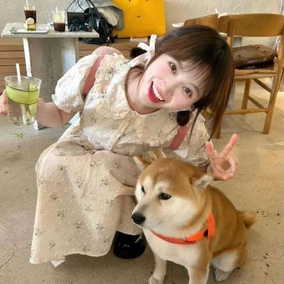 风的旅程